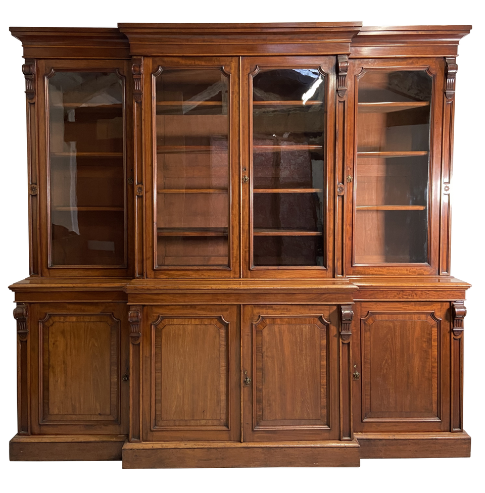 Storage & Display