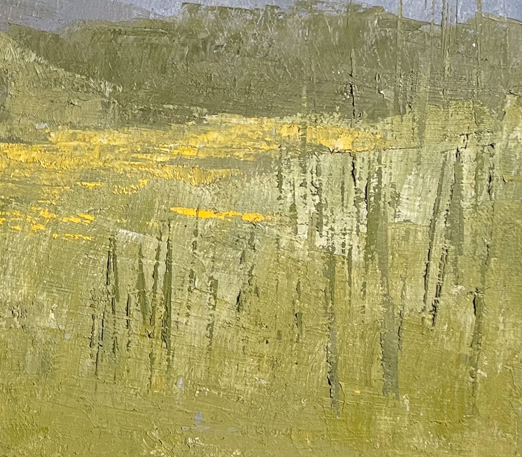 Oil on Canvas Landscape entitled Buttercups by Ann Thistlewaite