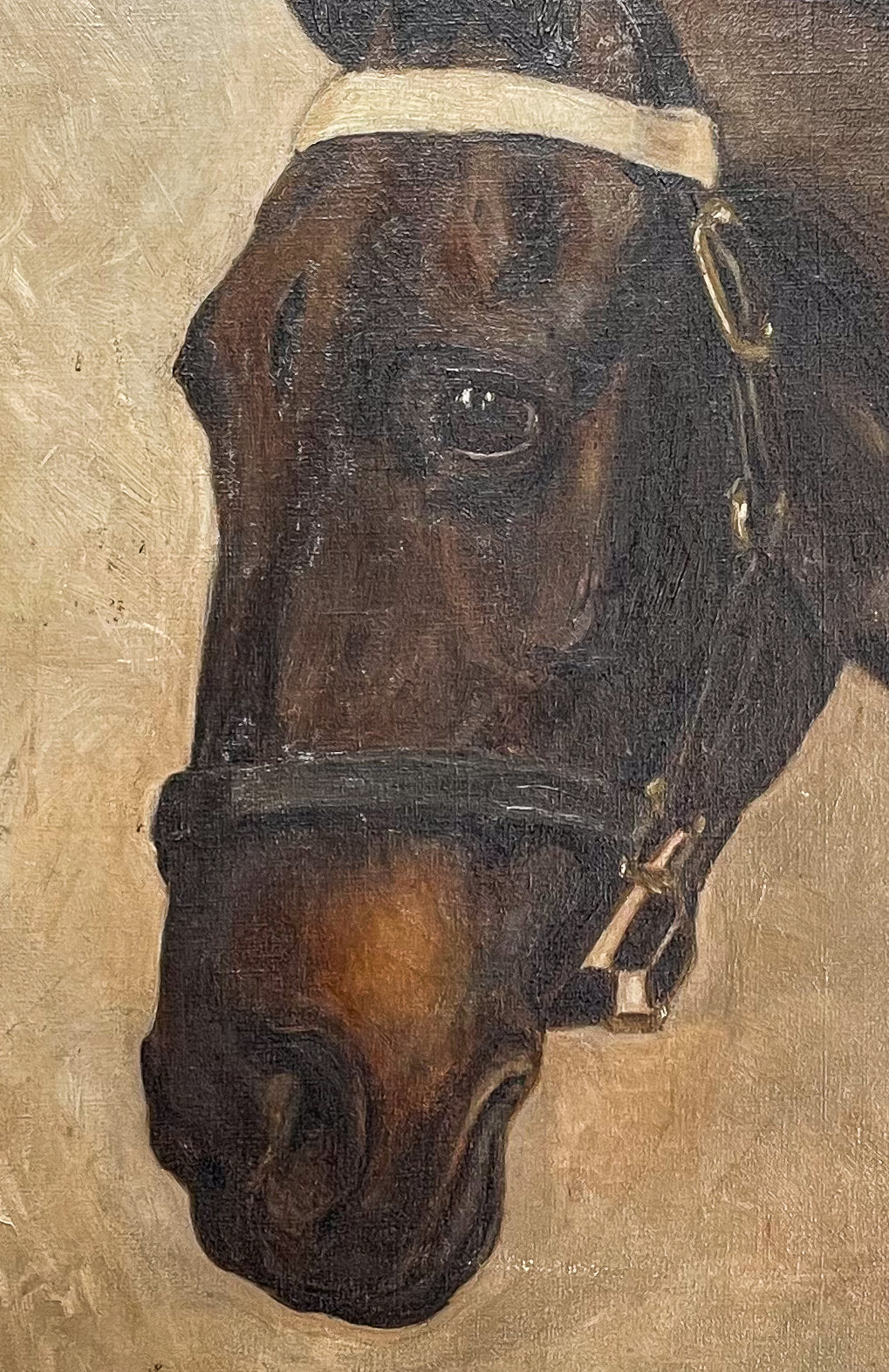 Oil on Canvas Study of a Horse