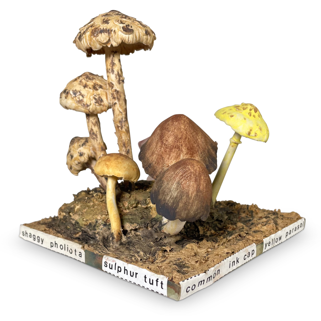 Wood and Ceramic Model Study of Toadstools
