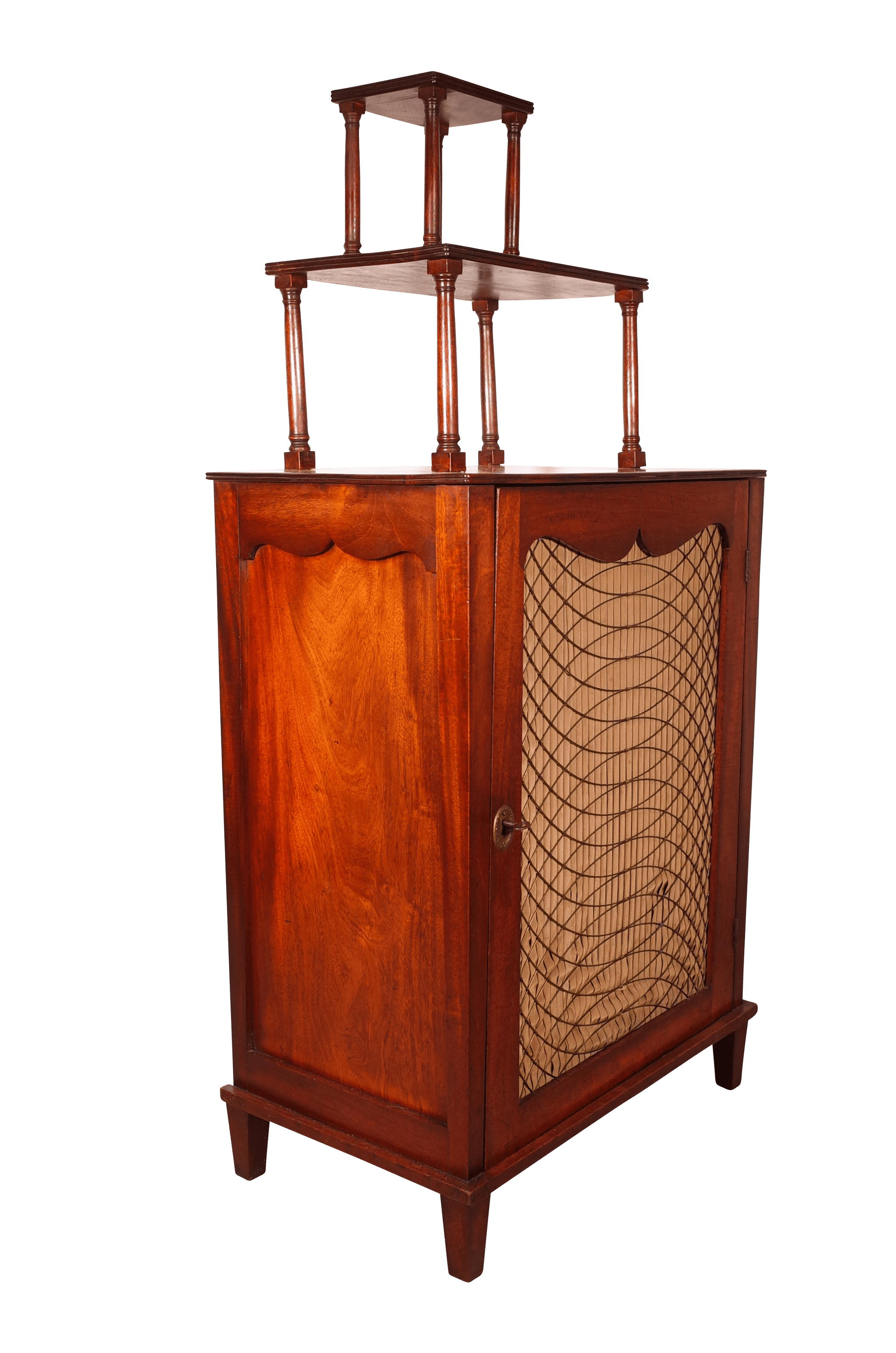 Regency Mahogany Side Cabinet with Brass Grilled Door and Tiered Shelf