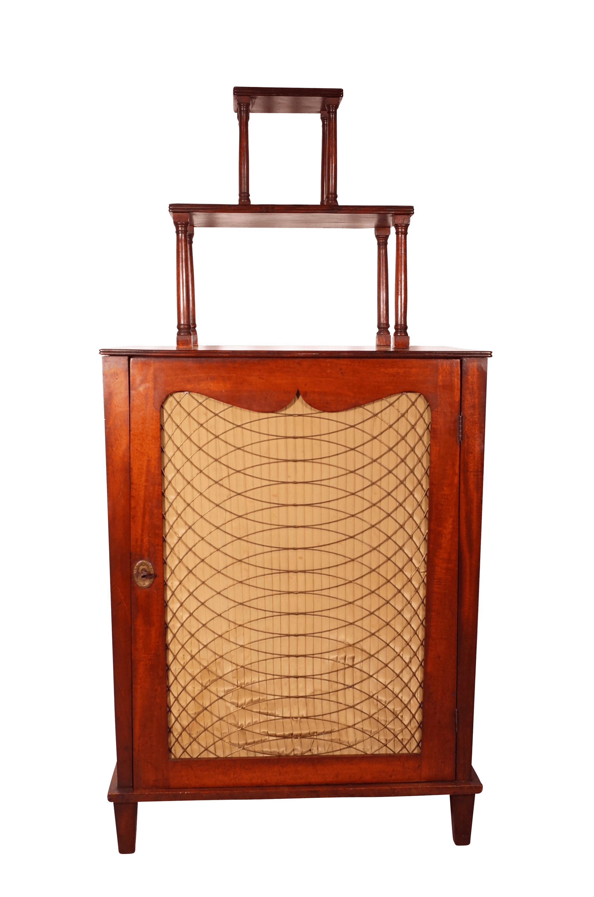 Regency Mahogany Side Cabinet with Brass Grilled Door and Tiered Shelf