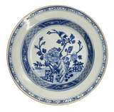 Blue and White Chinese Porcelain Plate