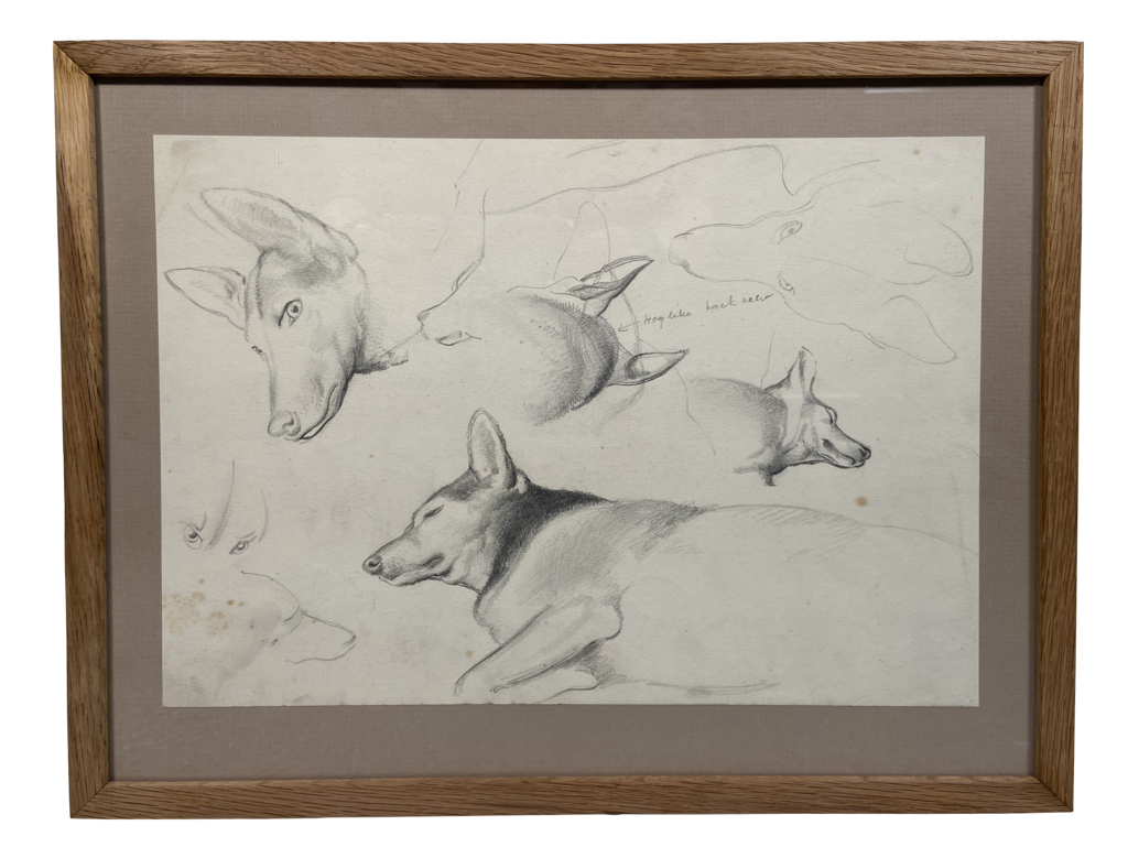 Pencil Drawing Studies of Dog by Francis Helps RBA NPS (1890-1972)