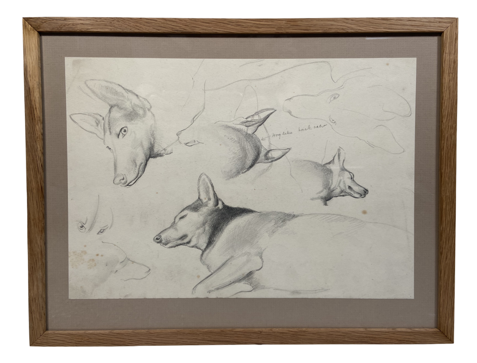 Pencil Drawing Studies of Dog by Francis Helps RBA NPS (1890-1972)