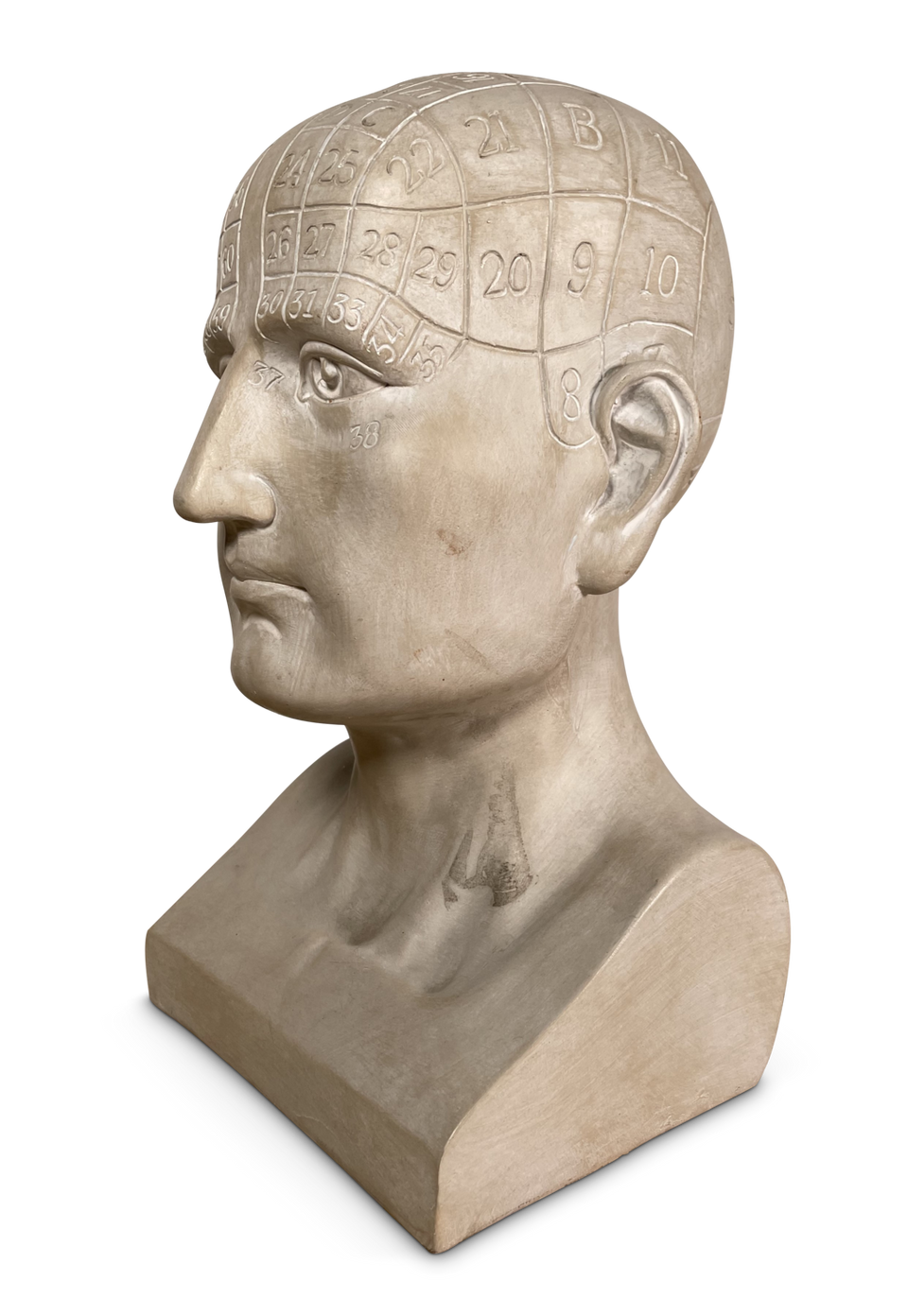 Phreonology Bust